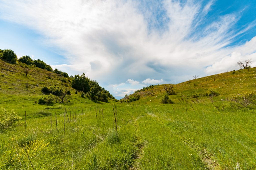 velgosti-letnica-ramne-centar-za-posetiteli-ohrid-2